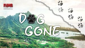 Dog Gone