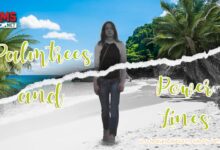 Palm Trees and Power Lines